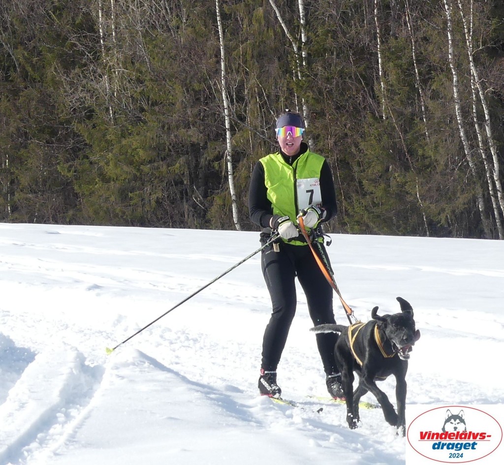P1070753_cr_resultat.jpg