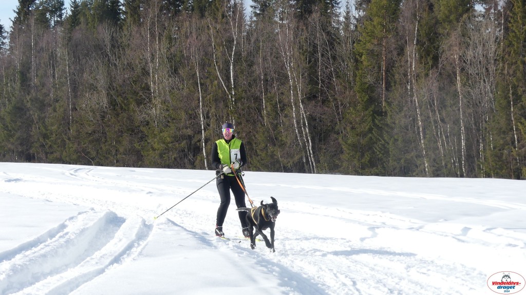 P1070753_resultat.jpg