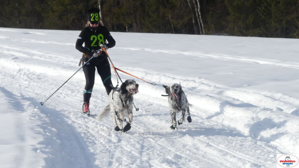 P1070755_resultat.jpg