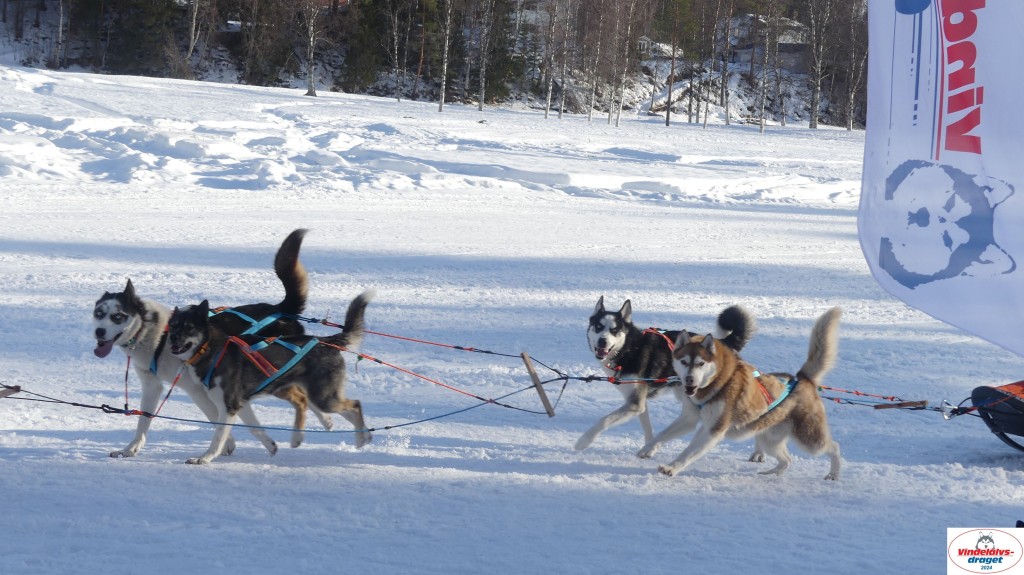 P1070777_resultat.jpg