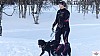 P1070576_resultat.jpg