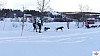 P1070592_resultat.jpg