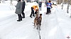 P1070625_resultat.jpg