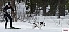 P1070630_cr_resultat.jpg