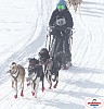 P1070651_cr_resultat.jpg