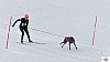 P1070667_resultat.jpg