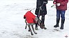 P1070673_resultat.jpg