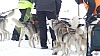 P1070681_resultat.jpg