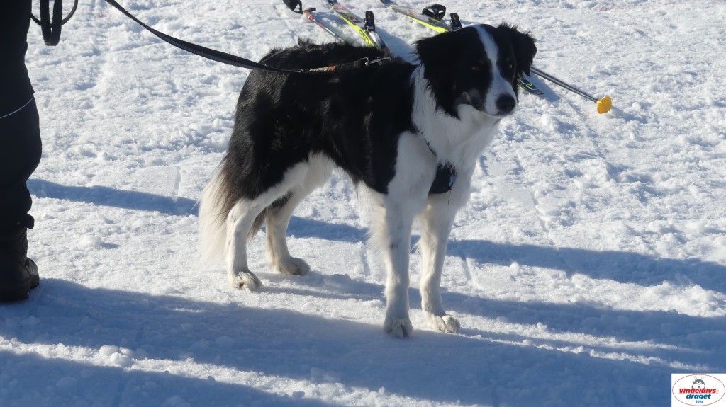 P1070789_resultat.jpg
