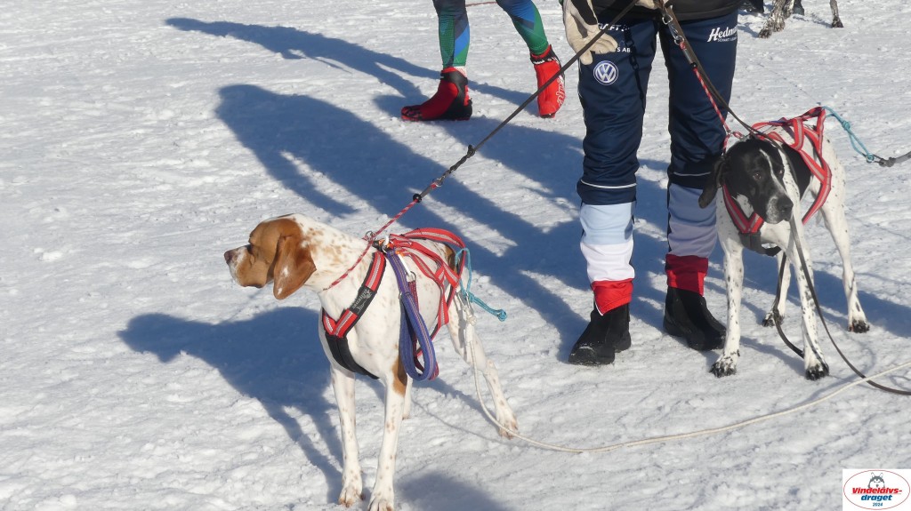 P1070805_resultat.jpg