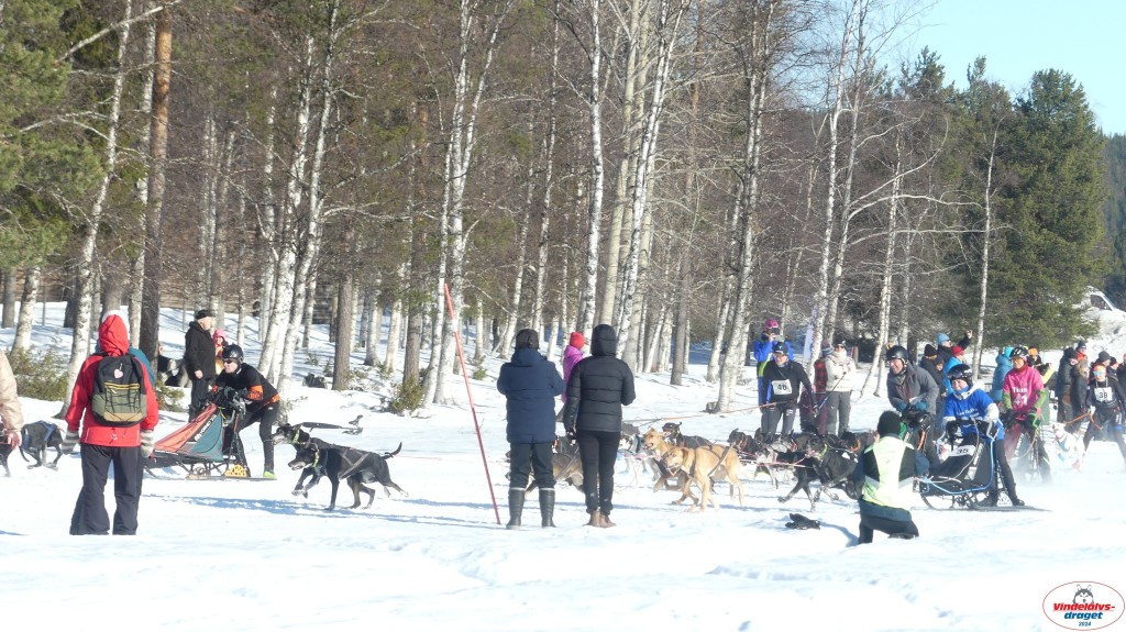P1070813_resultat.jpg