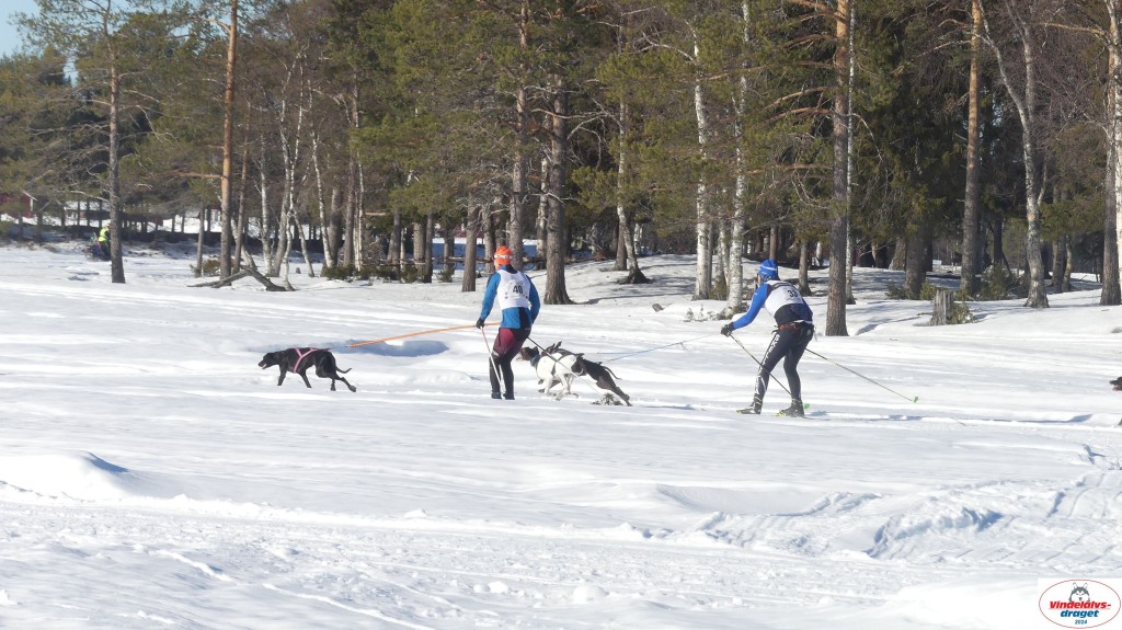 P1070821_resultat.jpg