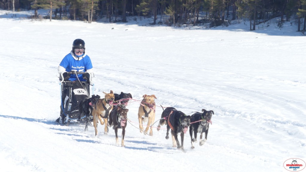 P1070840_resultat.jpg