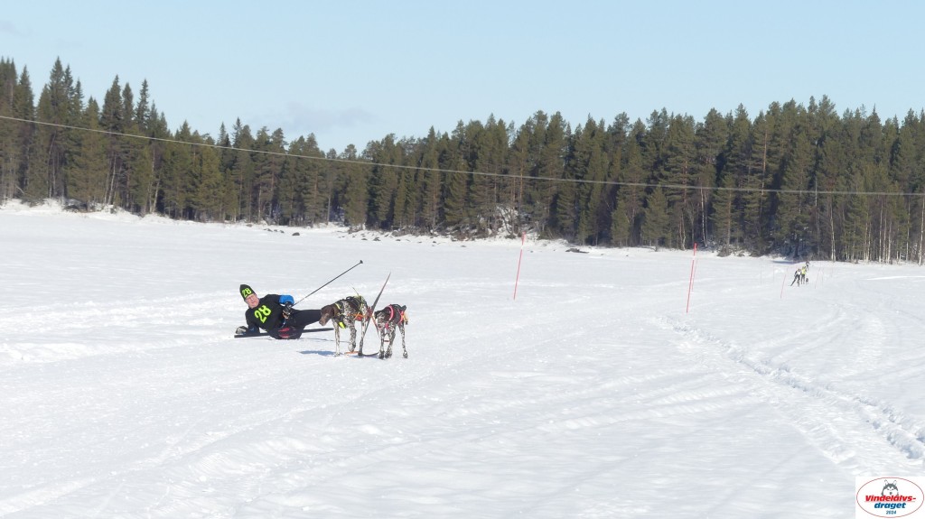 P1070867_resultat.jpg