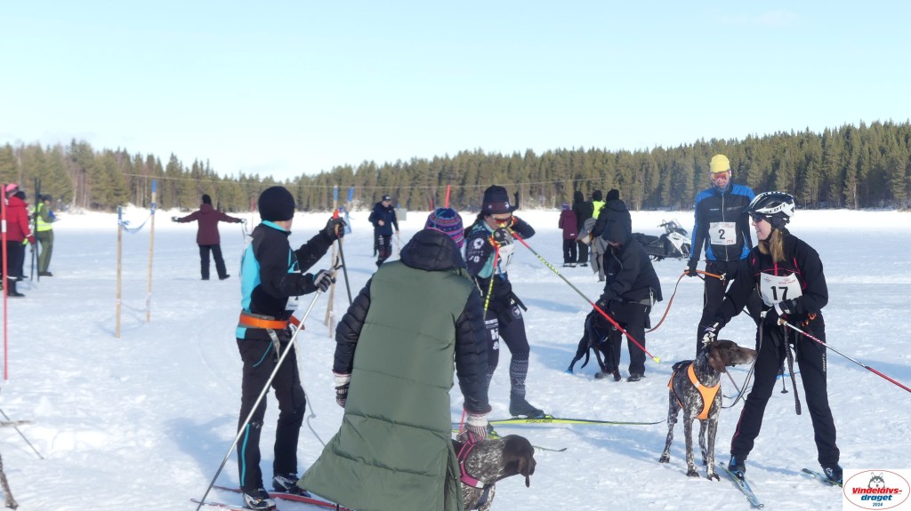 P1070876_resultat.jpg