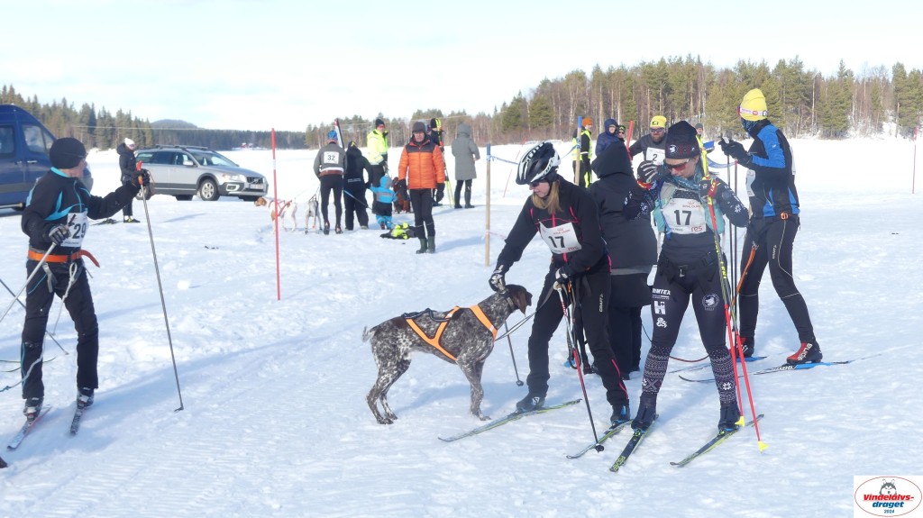 P1070877_resultat.jpg
