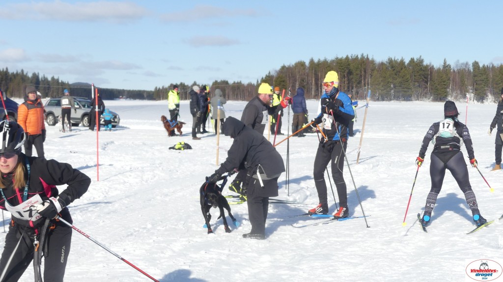 P1070880_resultat.jpg