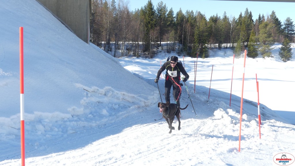 P1070892_resultat.jpg