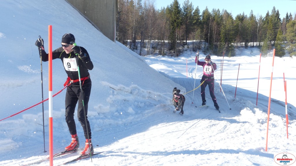 P1070893_resultat.jpg