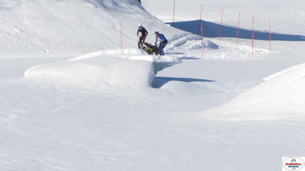 P1070896_resultat.jpg