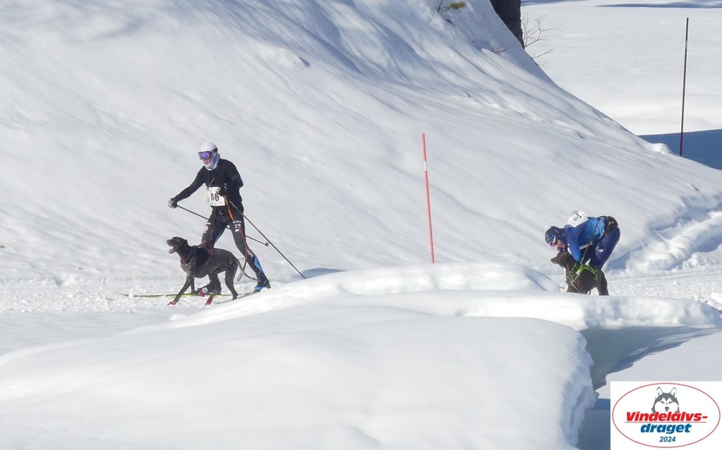 P1070897_cr_resultat.jpg