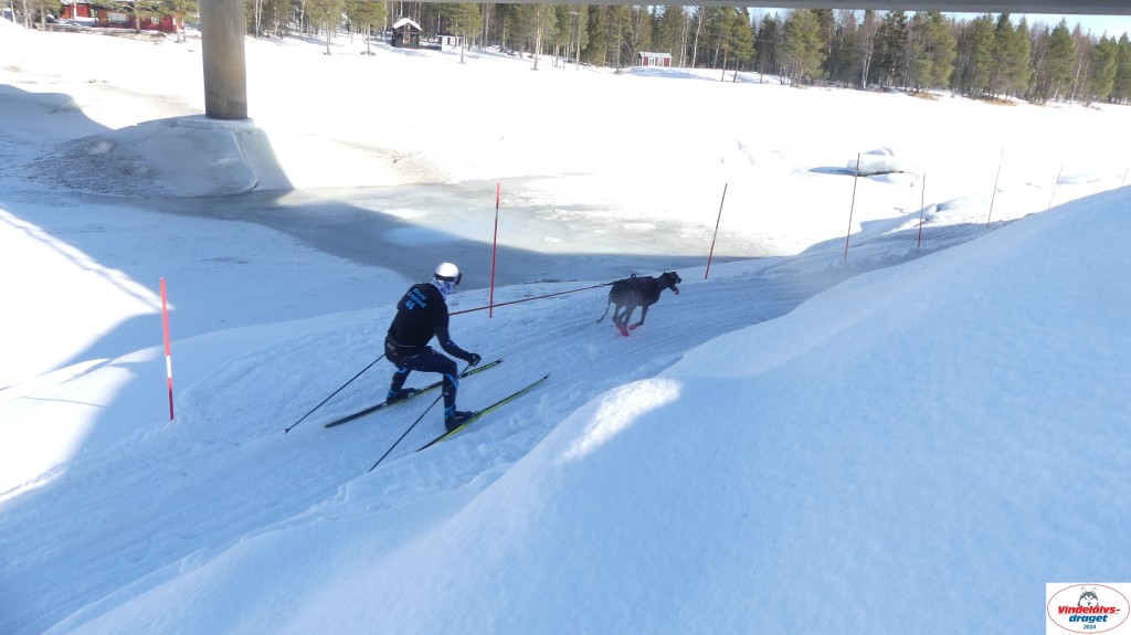 P1070902_resultat.jpg
