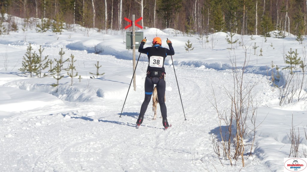 P1070919_resultat.jpg