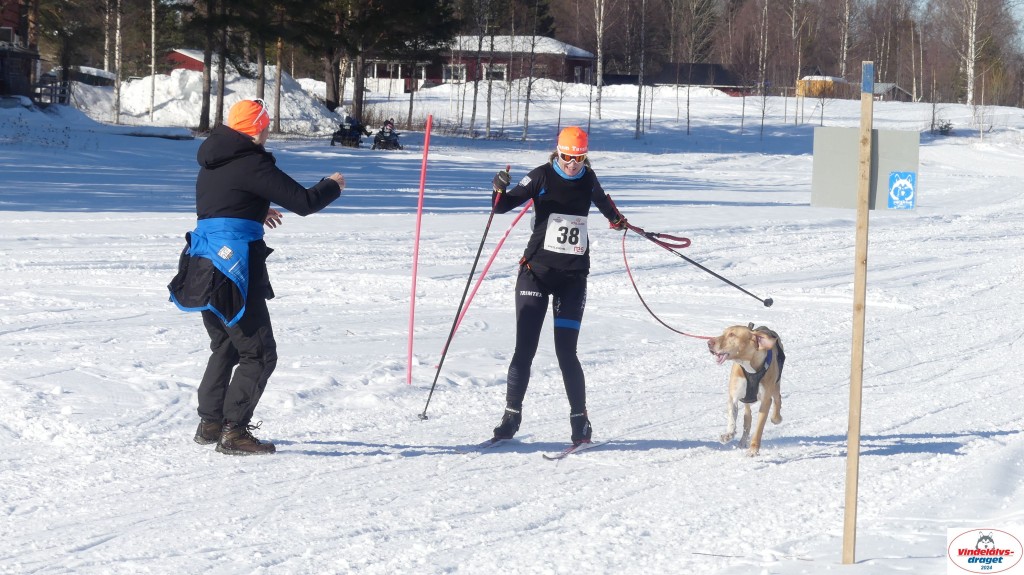 P1070922_resultat.jpg