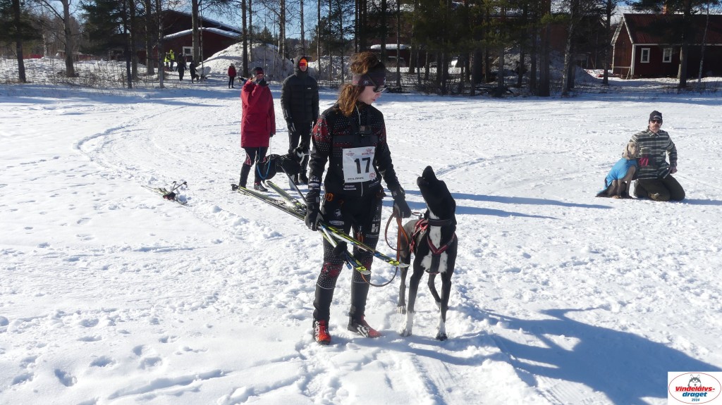P1070927_resultat.jpg