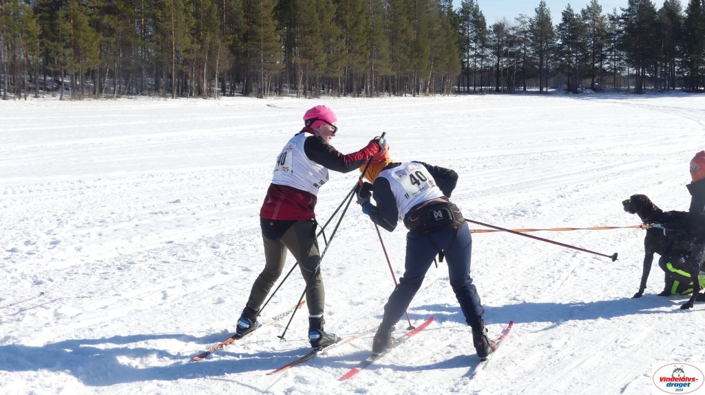 P1070939_resultat.jpg