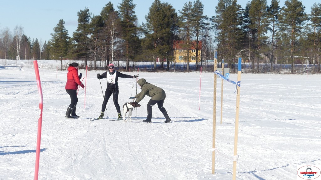 P1070940_resultat.jpg