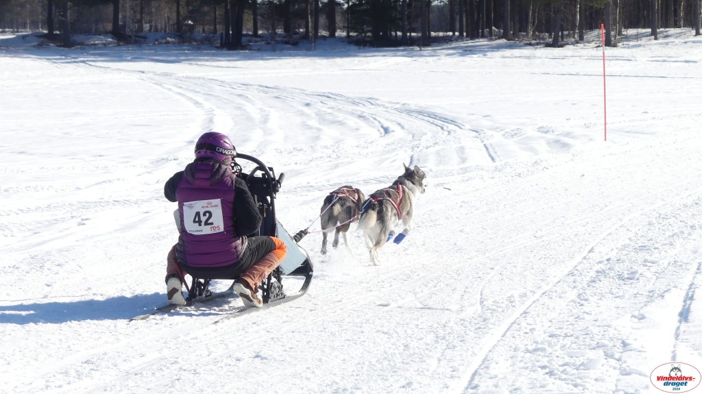 P1070950_resultat.jpg
