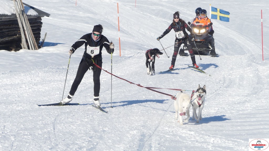 P1070967_resultat.jpg