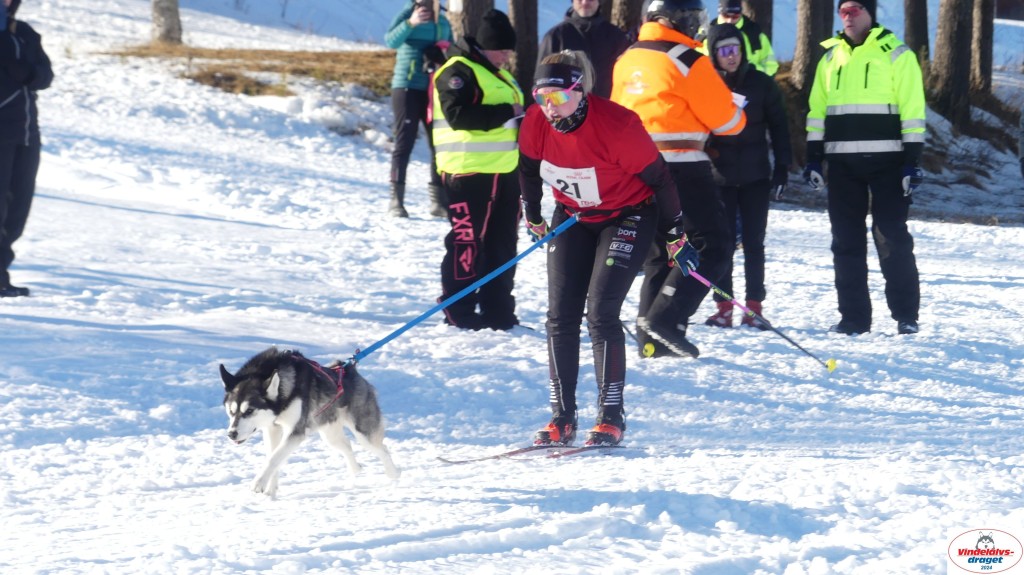 P1070987_resultat.jpg
