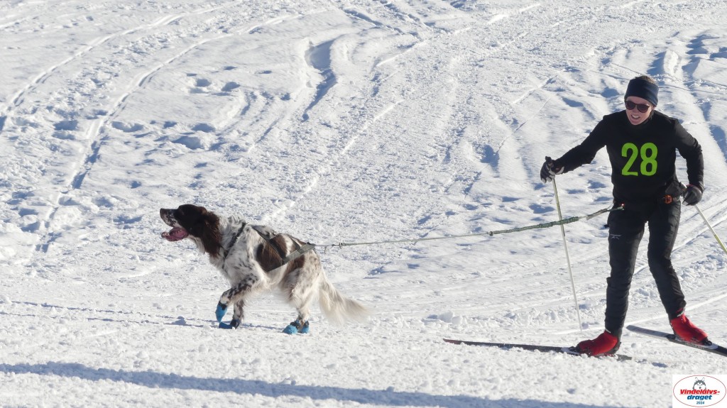 P1070989_resultat.jpg