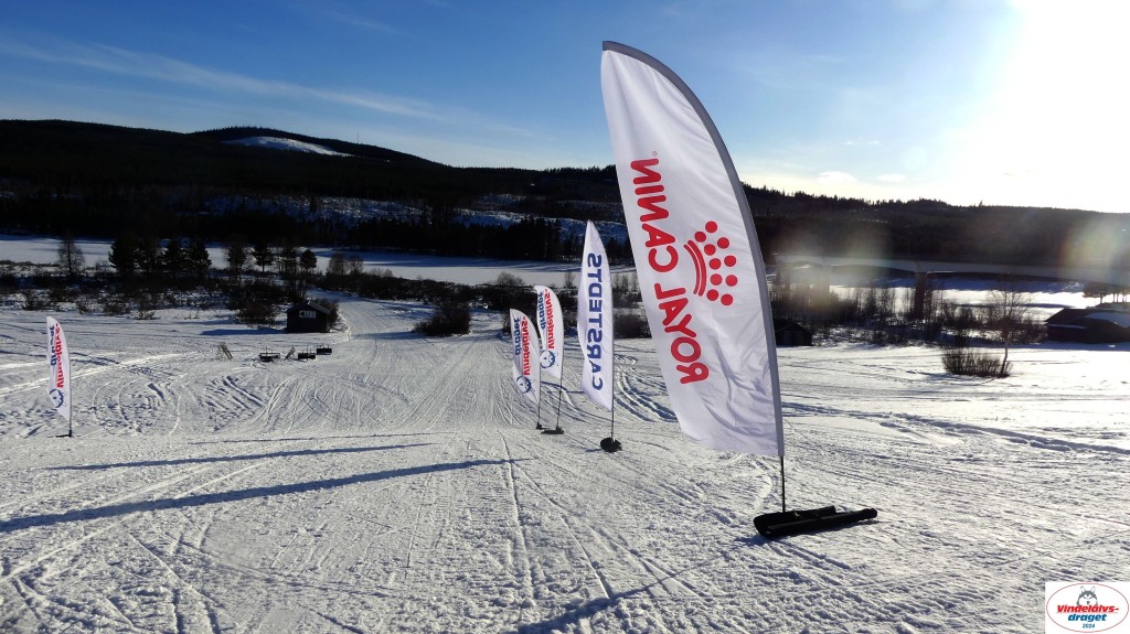 P1080014_resultat.jpg