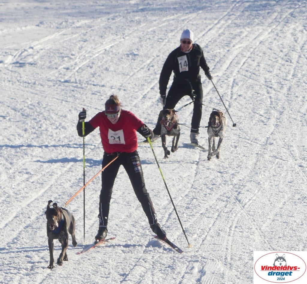 P1080016_cr_resultat.jpg