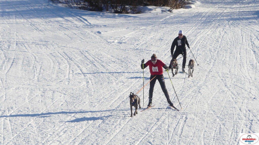 P1080016_resultat.jpg