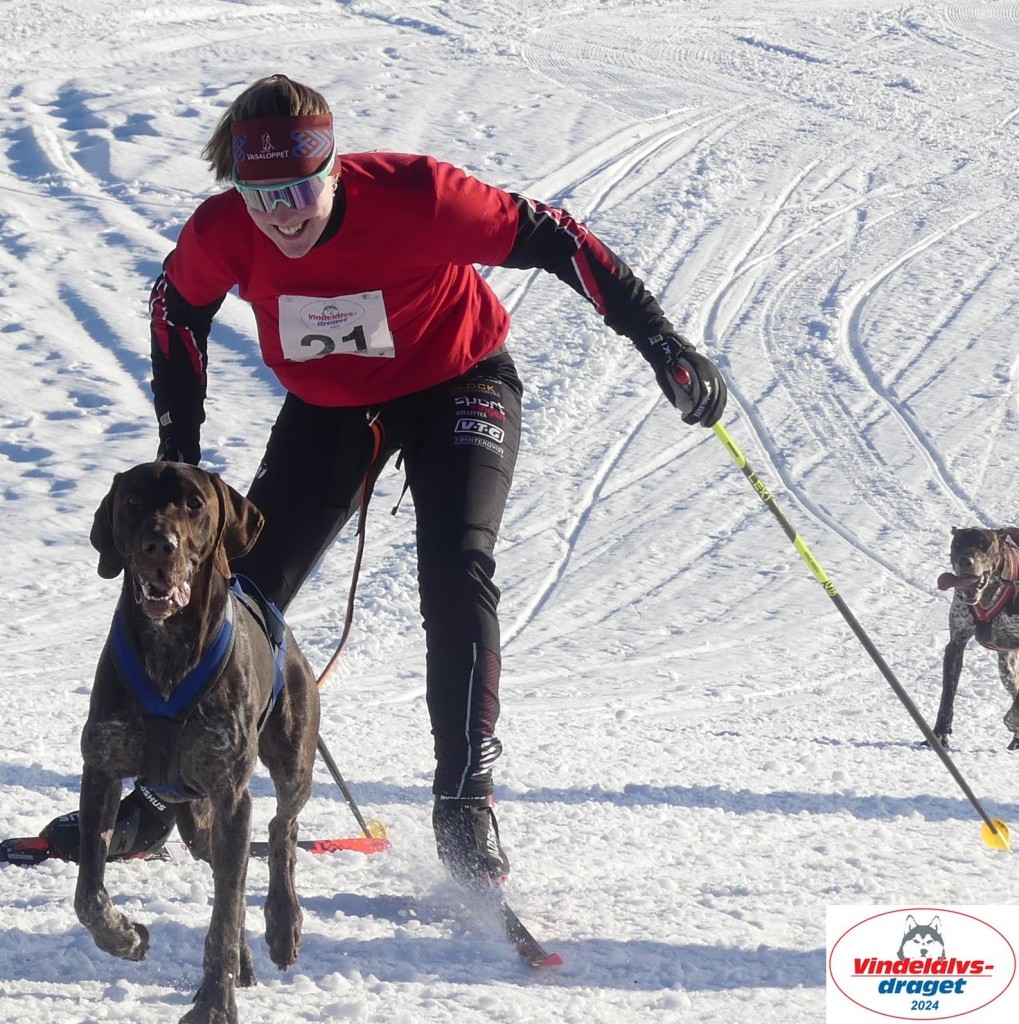 P1080017_cr_resultat.jpg