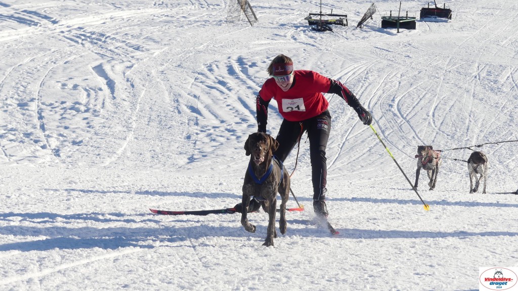 P1080017_resultat.jpg