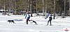 P1070821_cr_resultat.jpg