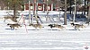 P1070827_resultat.jpg