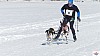 P1070851_resultat.jpg