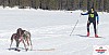 P1070868_cr_resultat.jpg