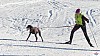 P1070990_resultat.jpg