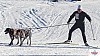 P1080018_cr_resultat.jpg