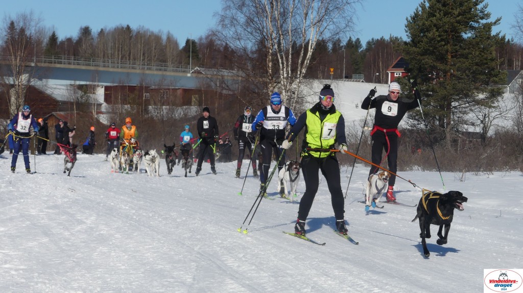 P1080052_resultat.jpg