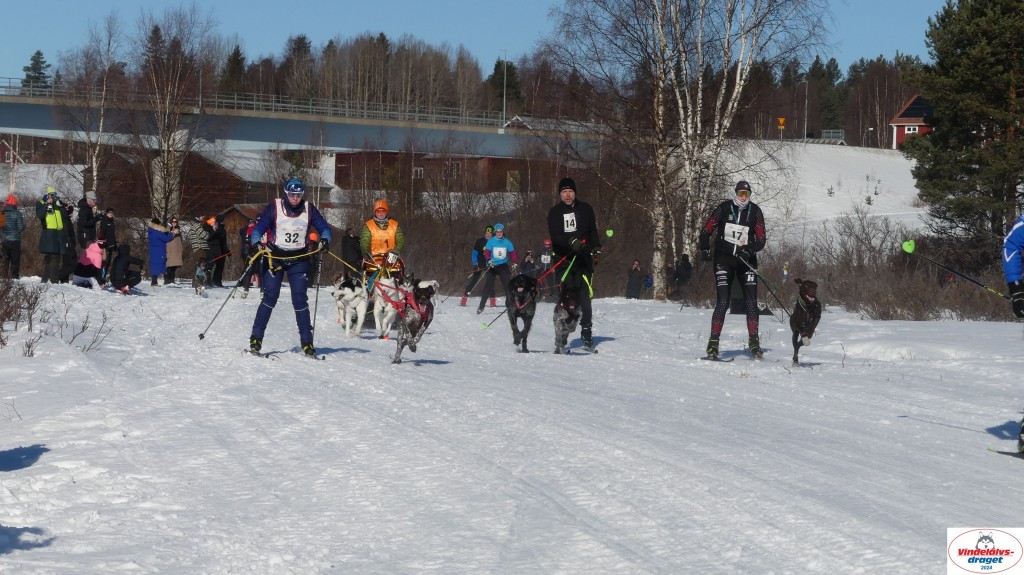 P1080053_resultat.jpg
