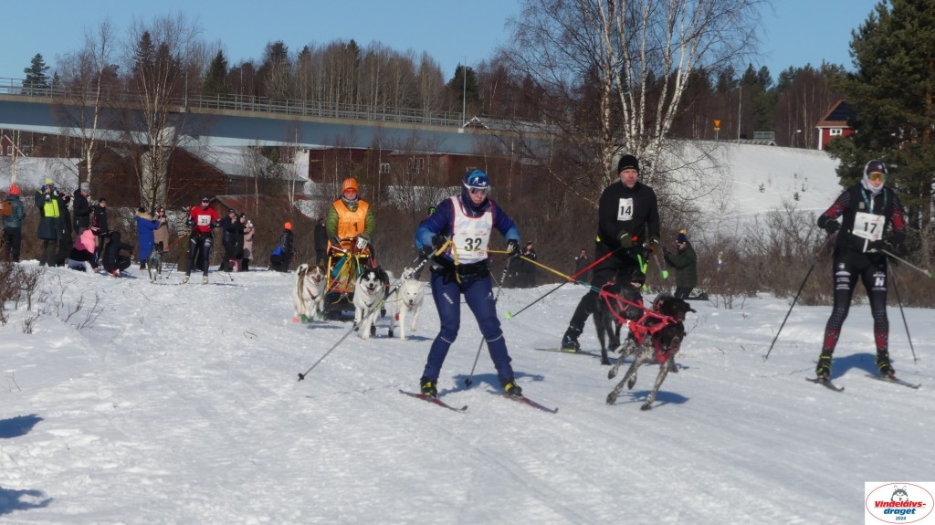 P1080054_resultat.jpg