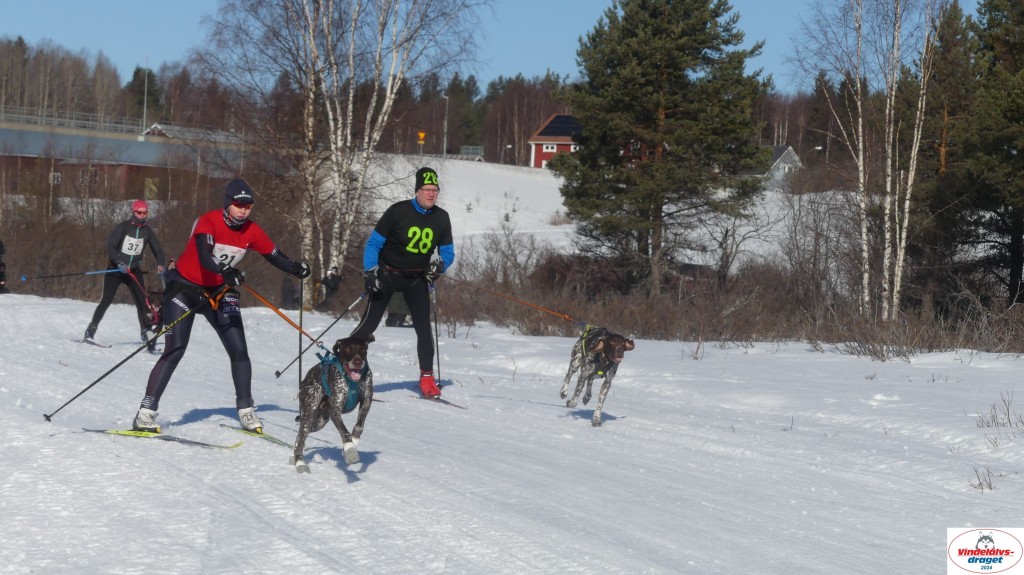 P1080057_resultat.jpg